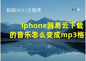 iphone网易云下载的音乐怎么变成mp3格式