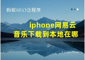 iphone网易云音乐下载到本地在哪