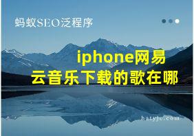 iphone网易云音乐下载的歌在哪