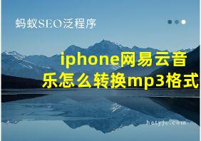 iphone网易云音乐怎么转换mp3格式