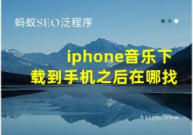 iphone音乐下载到手机之后在哪找