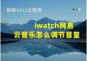 iwatch网易云音乐怎么调节音量