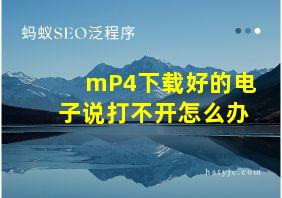 mP4下载好的电子说打不开怎么办