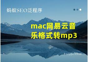 mac网易云音乐格式转mp3