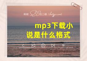 mp3下载小说是什么格式