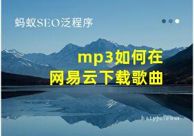 mp3如何在网易云下载歌曲