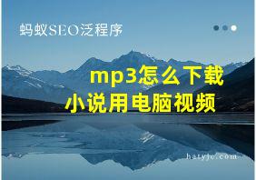 mp3怎么下载小说用电脑视频