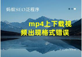 mp4上下载视频出现格式错误