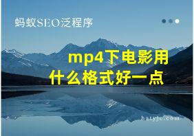 mp4下电影用什么格式好一点