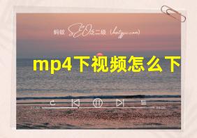 mp4下视频怎么下