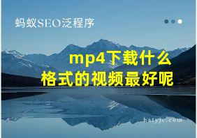 mp4下载什么格式的视频最好呢