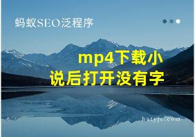 mp4下载小说后打开没有字