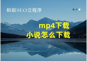 mp4下载小说怎么下载