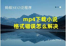 mp4下载小说格式错误怎么解决