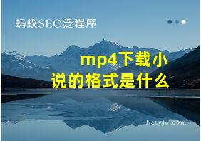 mp4下载小说的格式是什么