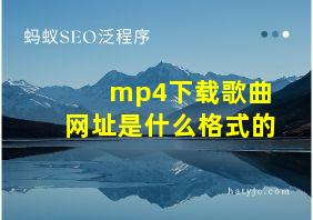 mp4下载歌曲网址是什么格式的