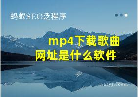 mp4下载歌曲网址是什么软件