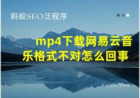 mp4下载网易云音乐格式不对怎么回事