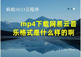 mp4下载网易云音乐格式是什么样的啊