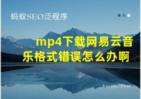 mp4下载网易云音乐格式错误怎么办啊