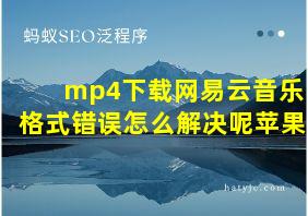 mp4下载网易云音乐格式错误怎么解决呢苹果