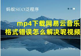 mp4下载网易云音乐格式错误怎么解决呢视频