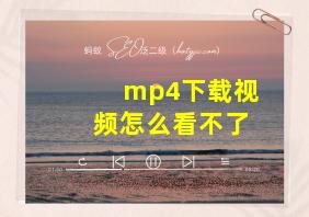 mp4下载视频怎么看不了