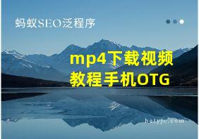 mp4下载视频教程手机OTG