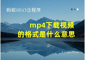 mp4下载视频的格式是什么意思