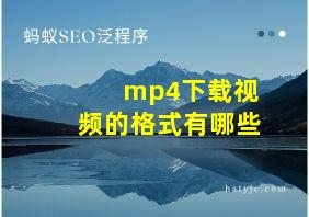 mp4下载视频的格式有哪些