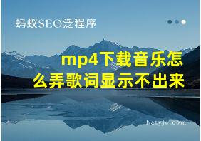 mp4下载音乐怎么弄歌词显示不出来