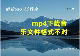 mp4下载音乐文件格式不对