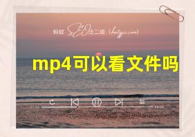 mp4可以看文件吗