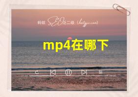 mp4在哪下