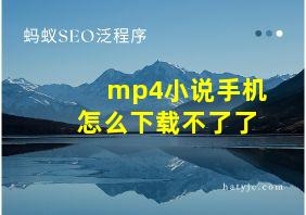 mp4小说手机怎么下载不了了