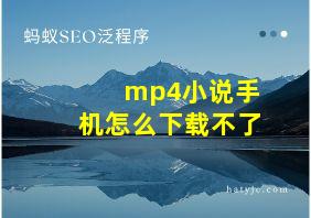 mp4小说手机怎么下载不了