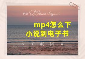 mp4怎么下小说到电子书