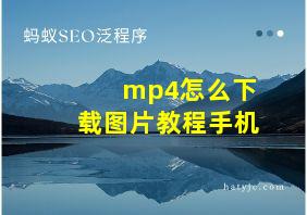 mp4怎么下载图片教程手机