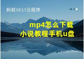 mp4怎么下载小说教程手机u盘