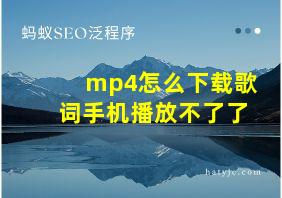 mp4怎么下载歌词手机播放不了了