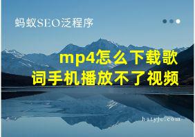 mp4怎么下载歌词手机播放不了视频