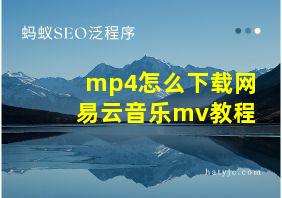 mp4怎么下载网易云音乐mv教程