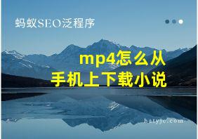 mp4怎么从手机上下载小说