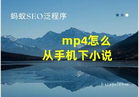 mp4怎么从手机下小说