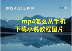 mp4怎么从手机下载小说教程图片