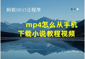 mp4怎么从手机下载小说教程视频