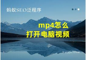 mp4怎么打开电脑视频