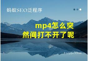 mp4怎么突然间打不开了呢