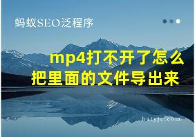 mp4打不开了怎么把里面的文件导出来