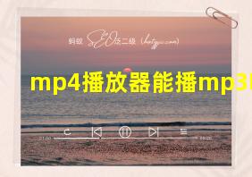 mp4播放器能播mp3吗